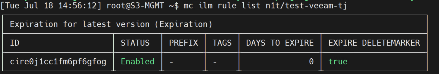 Minio ilm policy for Veeam buckets